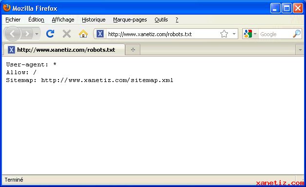 Les fichiers robots.txt et sitemap.xml