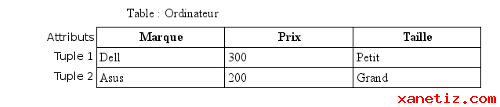 Les injections SQL